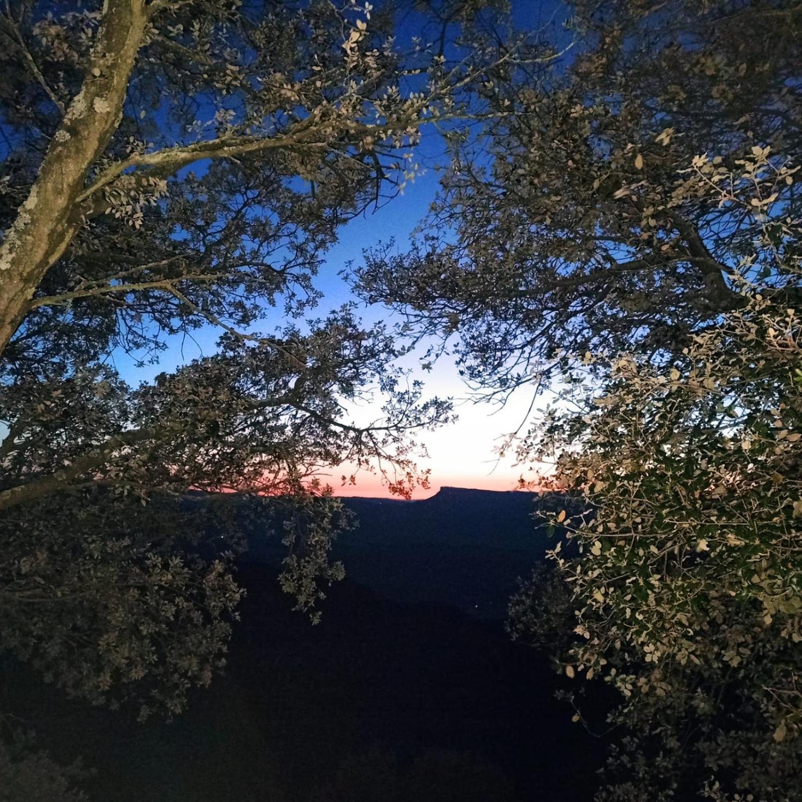 فندق La Terraza بانيوليس المظهر الخارجي الصورة